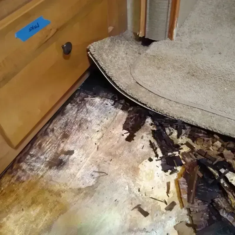 Wood Floor Water Damage in Corning, AR